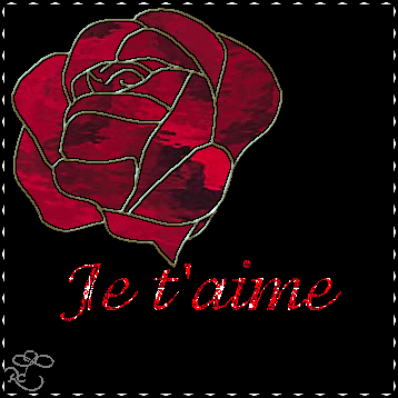 une rose rien que pour toi mon bebe