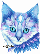 mon chat