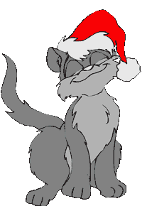 chat danceur