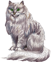 un tres bo chat